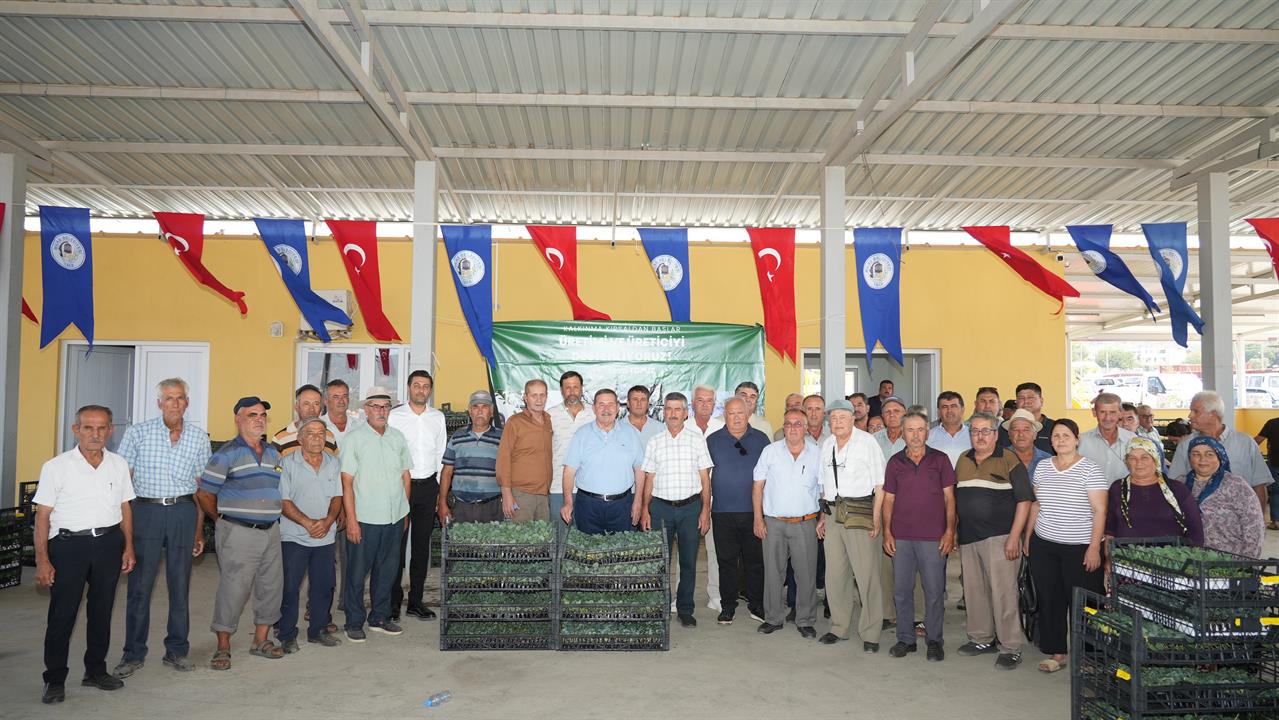 MİLAS BELEDİYESİ KIŞLIK SEBZE FİDELERİNİ ÜRETİCİLERLE BULUŞTURDU